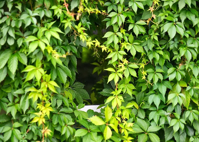 Mieta I Woda Semesterpark Wdzydze Tucholskie