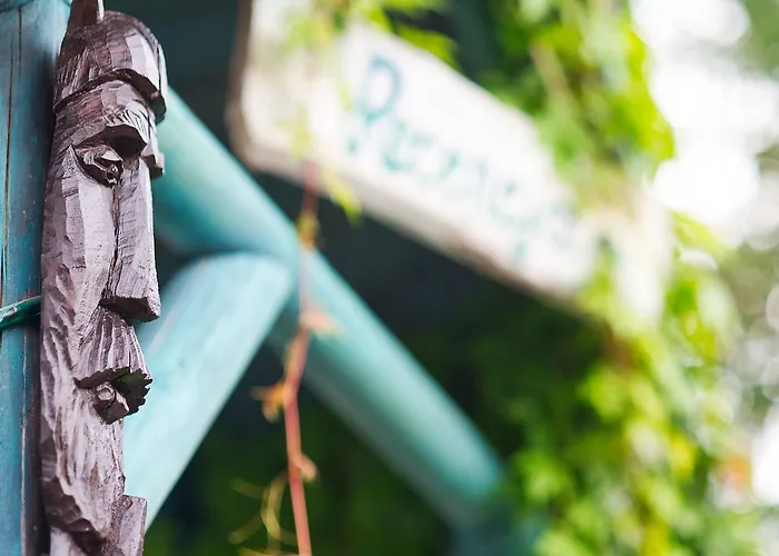 Mieta I Woda Semesterpark Wdzydze Tucholskie