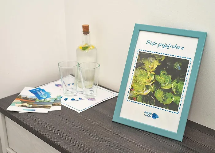 Mieta I Woda Semesterpark