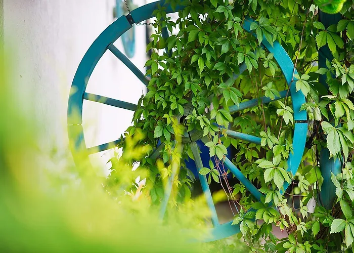 Mieta I Woda Semesterpark Wdzydze Tucholskie